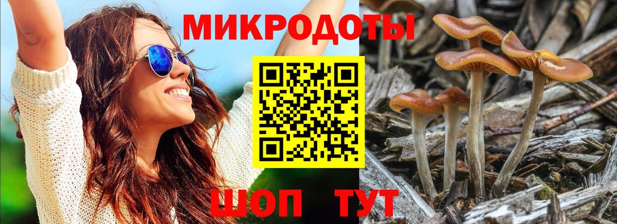 Галлюциногенные грибы Cubensis Избербаш