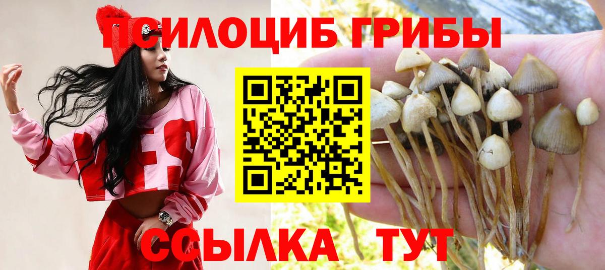 Псилоцибиновые грибы Cubensis  Псилоцибиновые грибы Magic Shrooms  Вход с VPN  Избербаш 